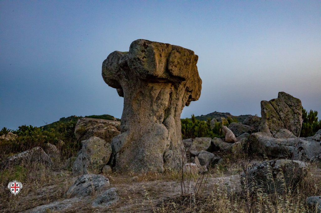 29/06 – 165DA/P04 – Codoleddu Stone Mushroom – 2 POINTS. 94 QSO, 24 Countries, 4 Continents.