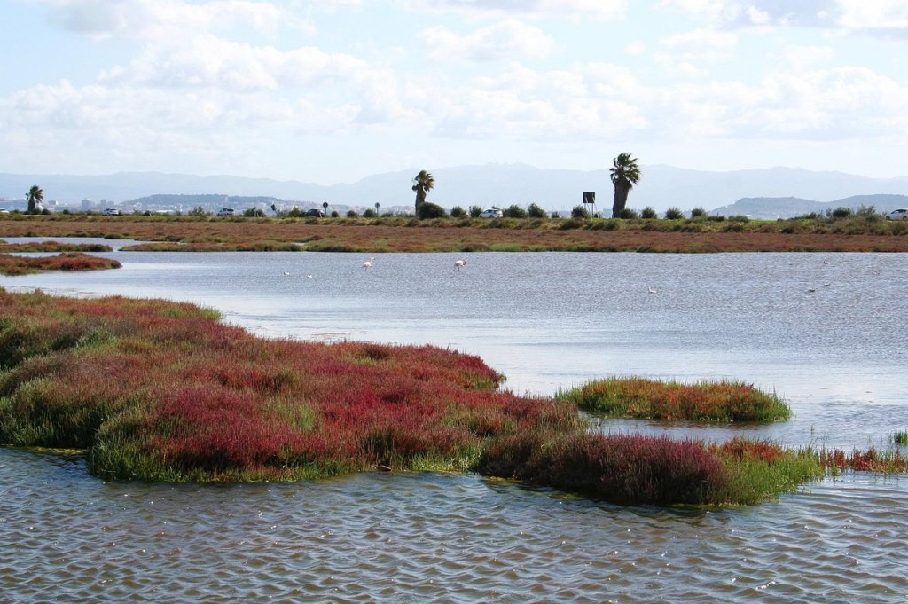 25/06 – 165DA/P20 – Santa Gilla’s Lagoon – 2 POINTS. 198 QSO, 24 Countries, 4 Continents.