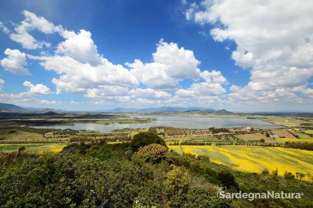 21/11 – 165DA/P009- Lake of Cixerri Oasis – 2 POINTS . 135 QSO, 24 Countries, 5&nbsp;Continents.