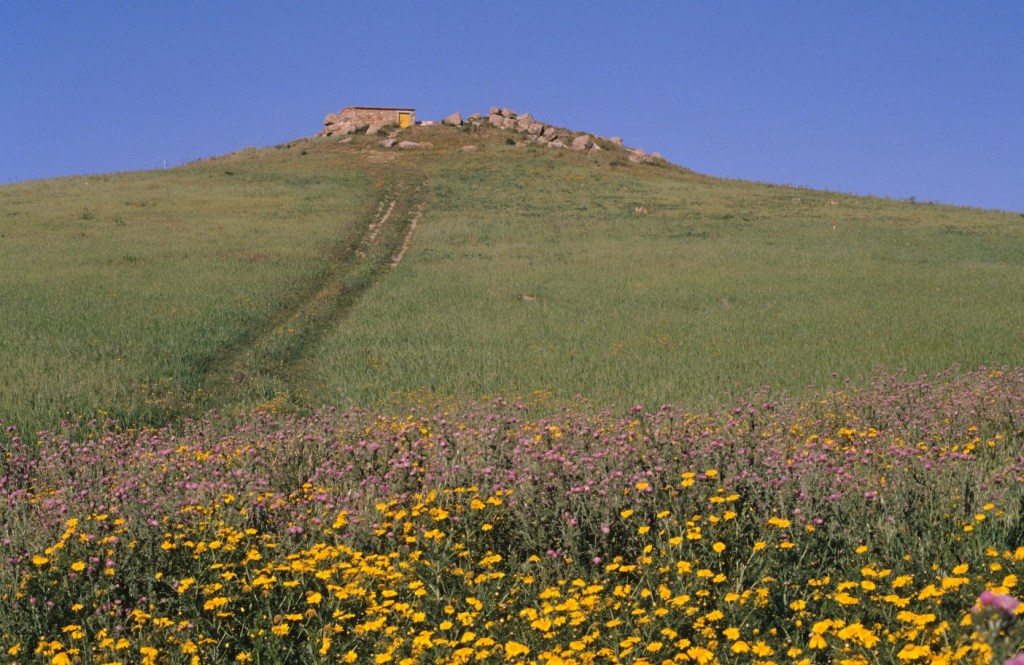 21/02 – 165DA/NU072 – Nuraghe Cuccuru – 3 POINTS . 143 QSO, 29 Countries, 6 Continents / by 165DA101&nbsp;Alex.