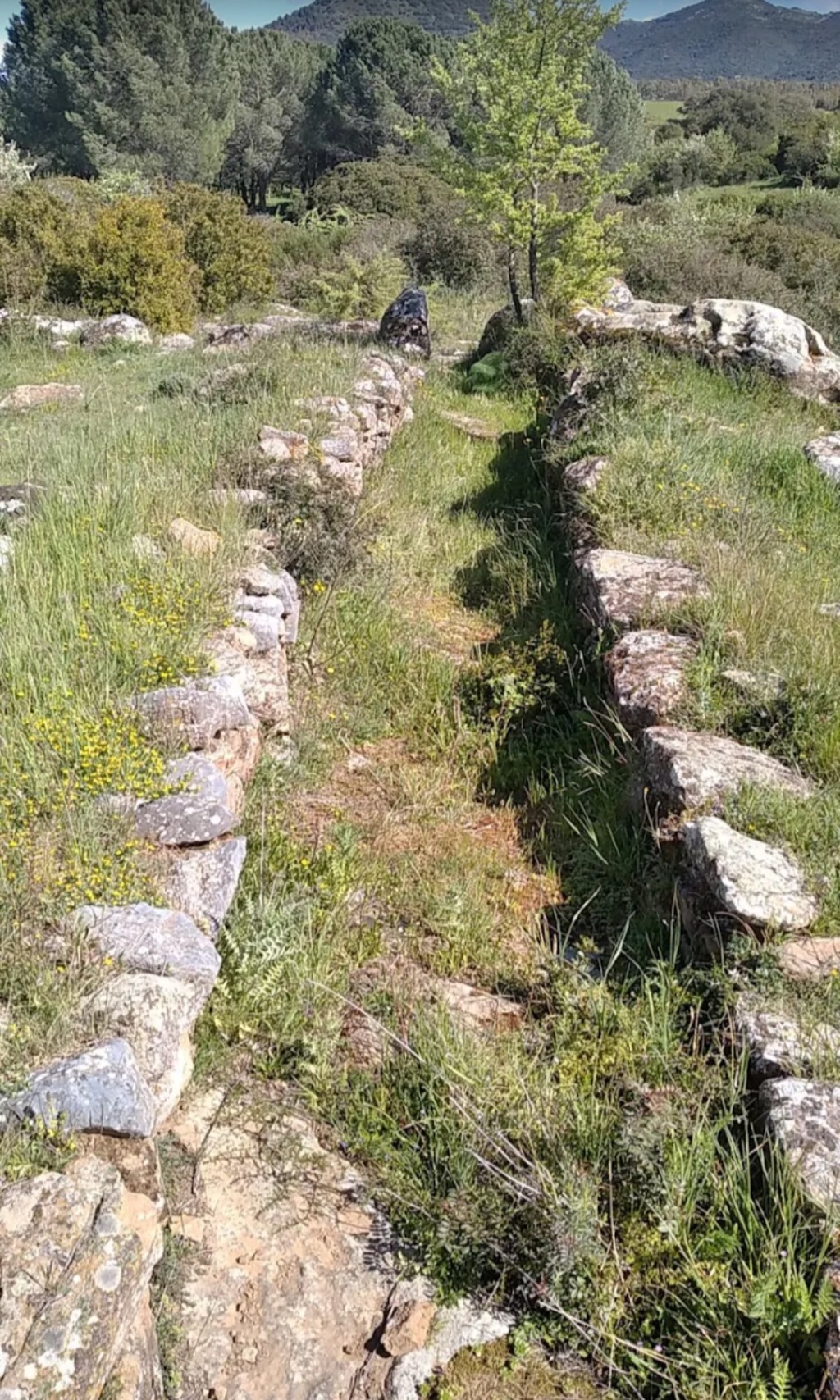 07/05/2025 – 165DA/TG021 – Tombe di Giganti Monte Ollastus – 3 POINTS . 181 QSO, 29 Countries, 6 Continents / by 165DA101 Alex.