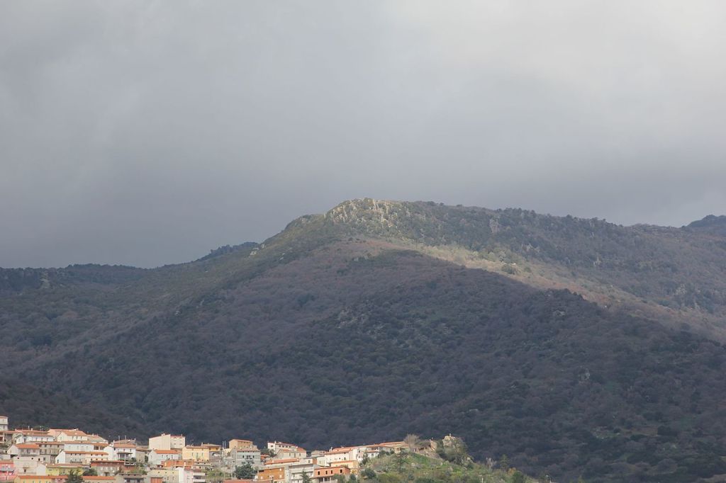 05/07/2025 – 165DA/P043 – Zuncos Forest – 2 POINTS . 137 QSO, 22 Countries, 3 Continents / by 165DA101&nbsp;Alex.