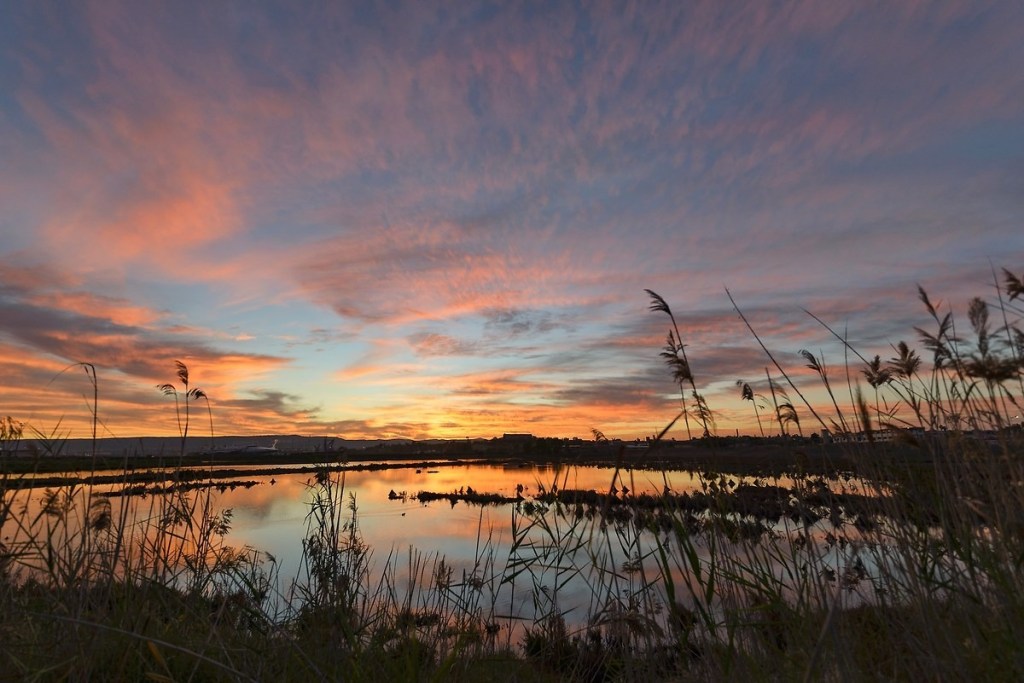 03/08/2025 – 1DA/IFF1413 – SALT PANS OF AUGUSTA – 2 POINTS . 156 QSO, 20 Countries, 2 Continents / by 1DA086&nbsp;Carmelo.