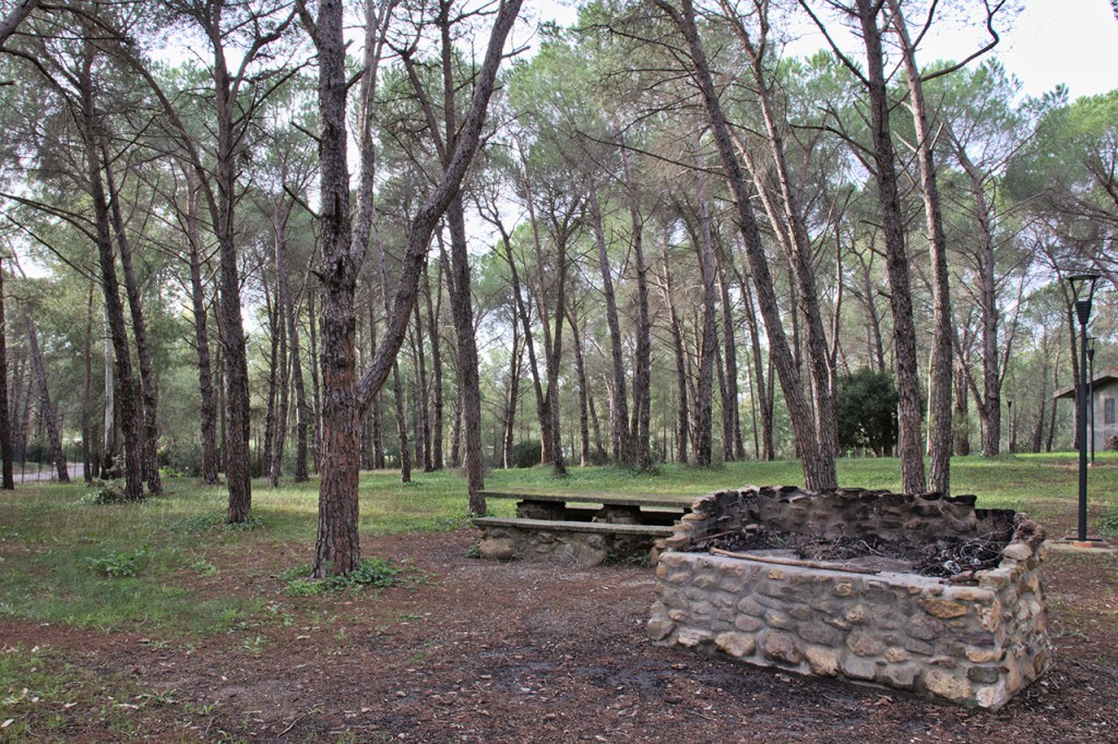 24/08/2025 – 165DA/P077 – Pineta di Musei – 2 POINTS . 173 QSO, 24 Countries, 4 Continents / by 165DA101&nbsp;Alex.