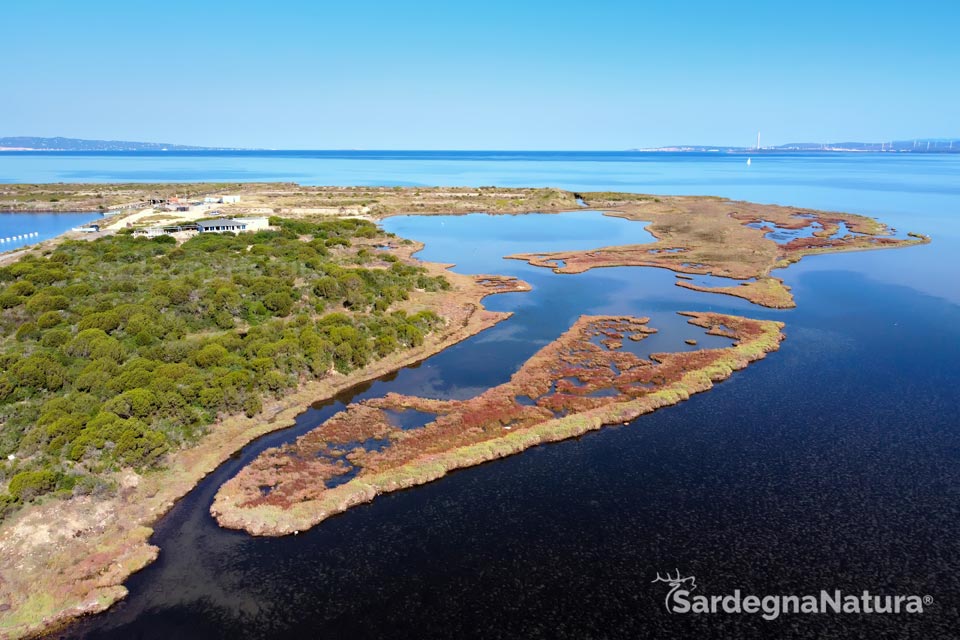 16/11/2025 – 165DA/IFF1690 – Stagno Cirdu – Punta sa Giunchera – 5 POINTS (inside IOTA Y014) . 205 QSO, 30 Countries, 6 Continents / by 165DA101&nbsp;Alex.