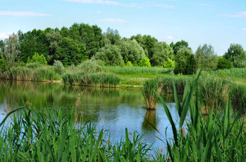 05/01/2026 – 1DA/IFF0414 (POTA) – Oasi WWF degli Stagni di Casale – 2 PTS (H)/3 PTS (A) . 100 QSO, 4 Countries, 19 Continents / by 1DA001 Gaetano & 165DA101 Alex.