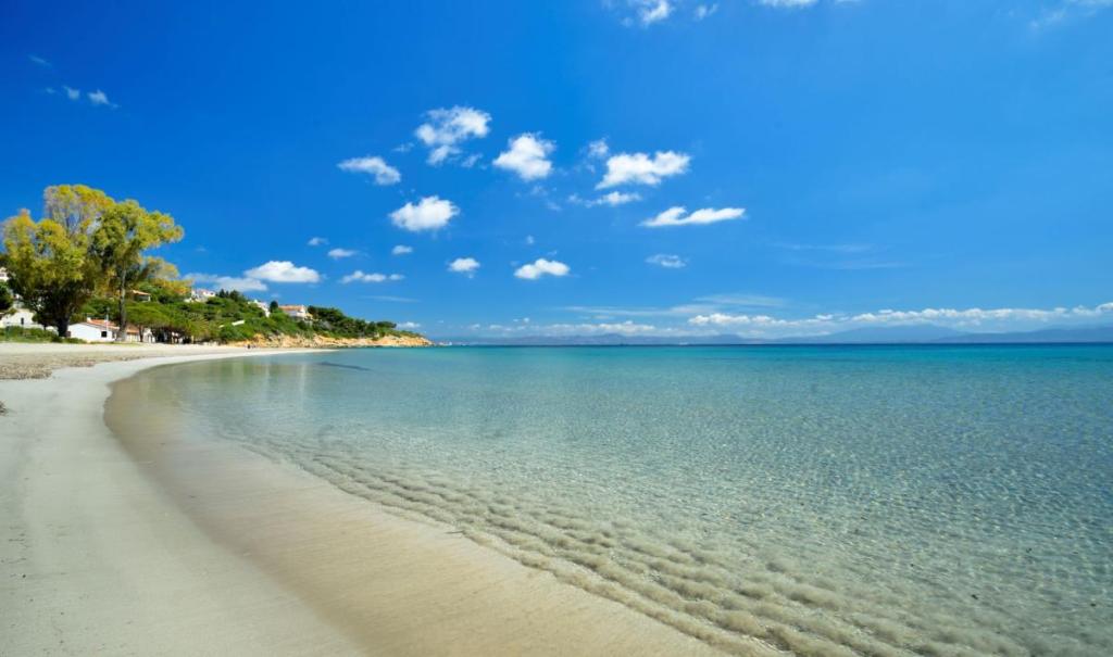 16/02/2026 – 165DA/BH006 – Maladroxia Beach – Inside IOTA Y014 – 5 PTS (H)/4 PTS (A) . 128 QSO, 25 Countries, 5 Continents / by 165DA101&nbsp;Alex.